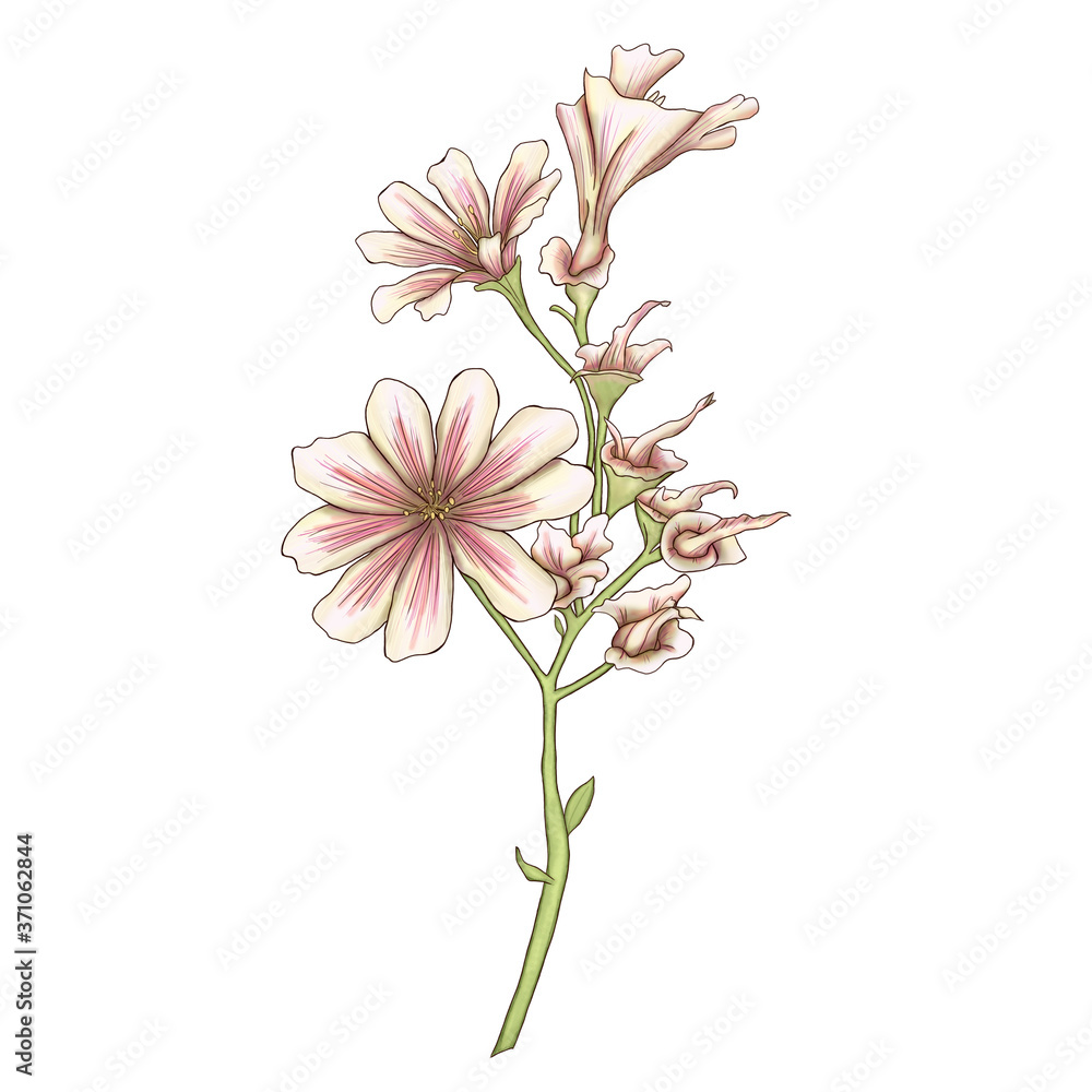 lovely digital flower hand drawn sticker decoration