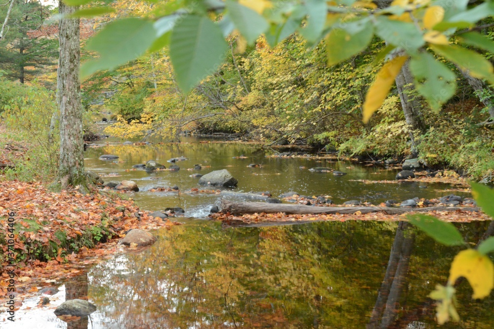 Autumn Leaves Turning Color with Stream Landscape Autumn Leaves Turning Color with Stream Landscape