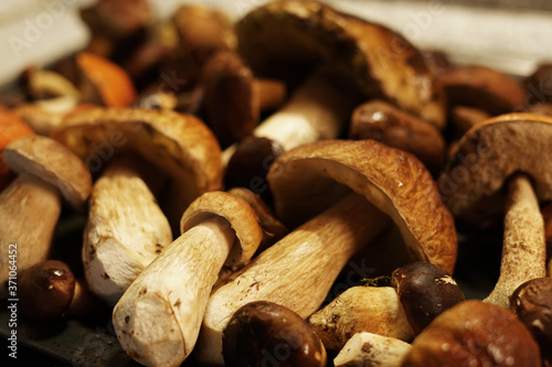 Fresh edible autumn mushrooms on table