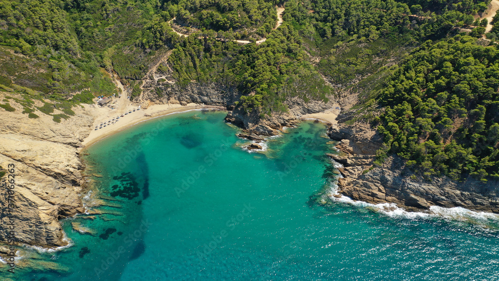 Aerial drone photo of paradise emerald and turquoise sandy beach of small Aselinos covered in pine trees in island of Skiathos, Sporades, Greece