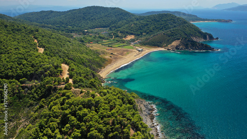 Aerial drone photo of paradise emerald and turquoise sandy beach of Aselinos covered in pine trees in island of Skiathos, Sporades, Greece