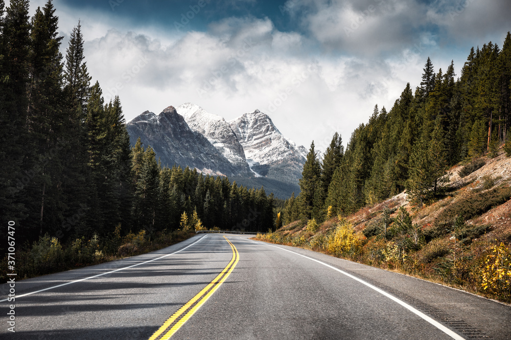 Asphalt highway and Rocky mountains in pine forest at Banff national park, Canada