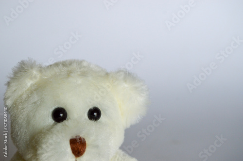 ourson en peluche pour carte de souhait photo