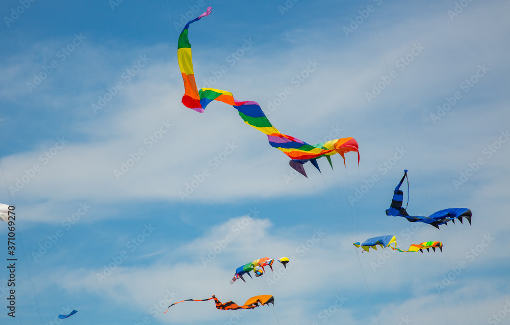 Many kites in the air at the Washington State International Kite