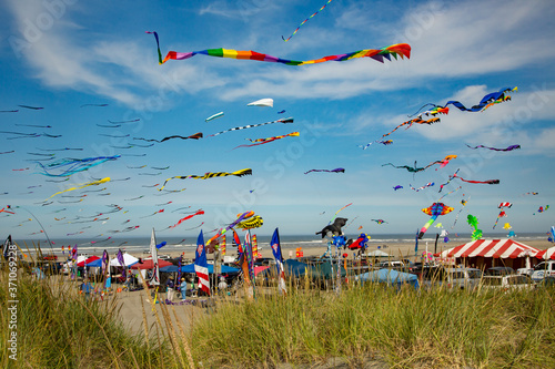 Fototapeta Naklejka Na Ścianę i Meble -  Long Beach, WA;  Many kites in the air and exhibitor's tents on the beach at the Washington State International Kite Festival at Long Beach.  It's the largest kite festival in North America