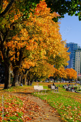 Fall color of Vancouver