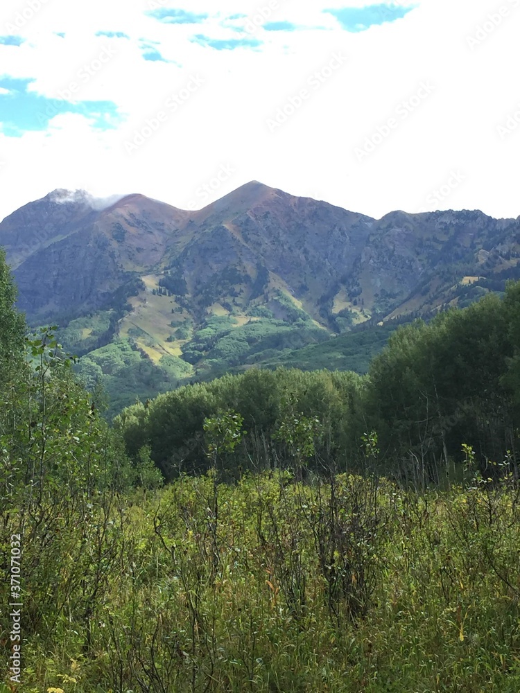 Obraz premium Mountain View