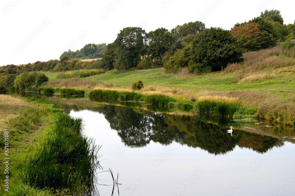 River landscape 
Swan