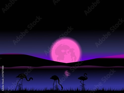 The illustration of a dusk scene with a bright pink moon  mountains  silhouettes of flamingos  black grass and dark water