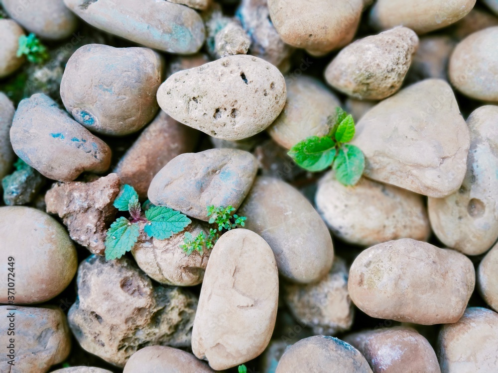 Natural stone floor texture background Natural stone floor texture background