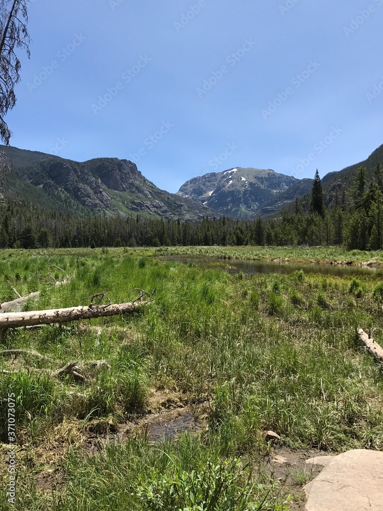 Fototapeta premium Mountains