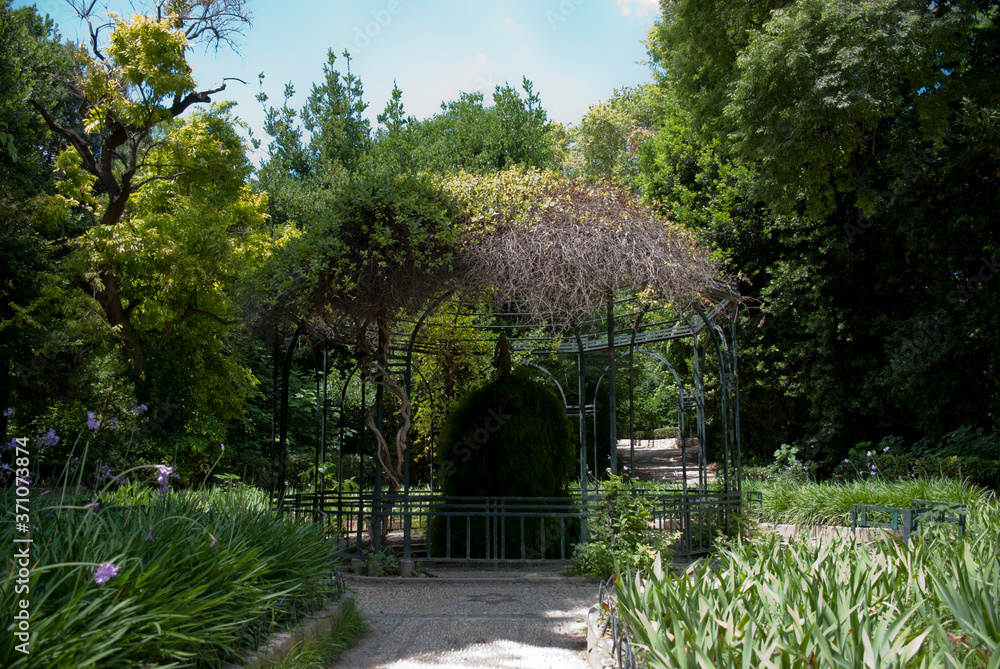 National Gardens, Athens, Greece, May 2020: The National/Royal gardens deserted during the coronavirus quarantine 