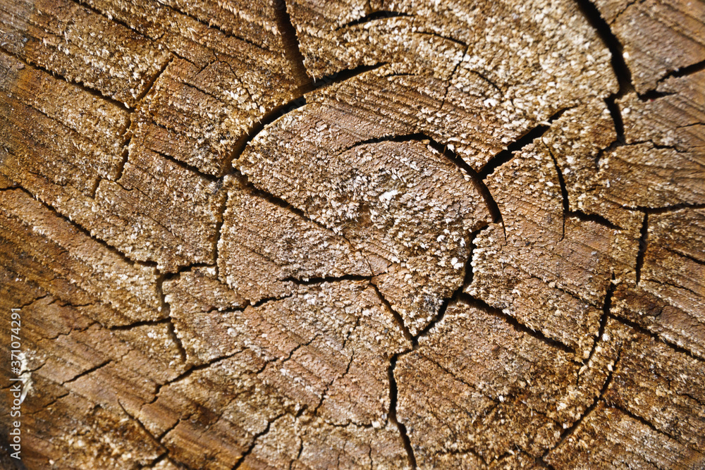 old wood texture old wood texture