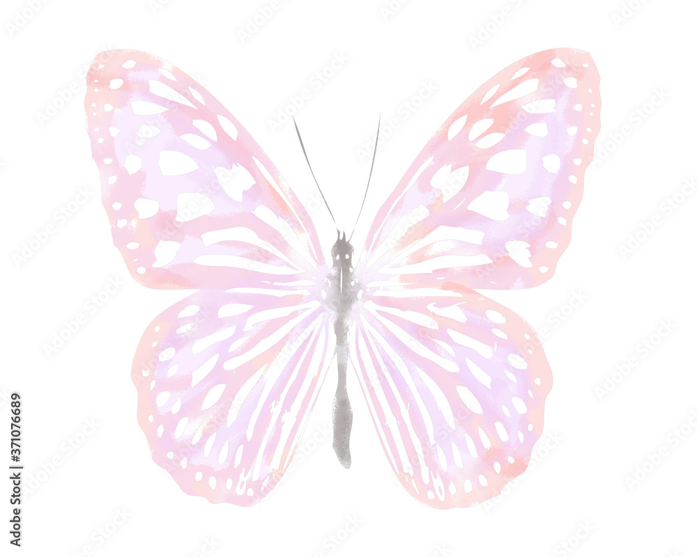 Butterfies and flowers background