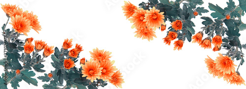 Valokuva Yellow orange chrysanthemum flowers and blank space
