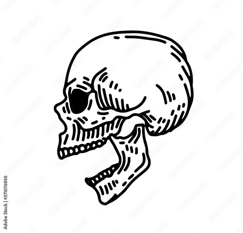 Skull line art illustration. Hand drawn retro illustration. Skull line art illustration. Hand drawn retro illustration.
