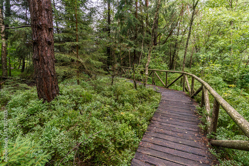 Nature reserve Wilhelmsdorf Pfrunger Ried in Upper Swabia