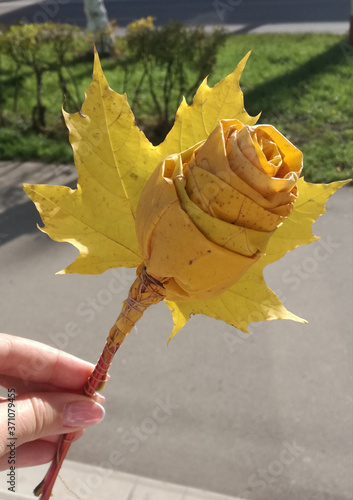yellow flower from fallen maple leaves hand-made in hand on a Sunny day