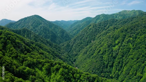 新緑の白神山地空撮