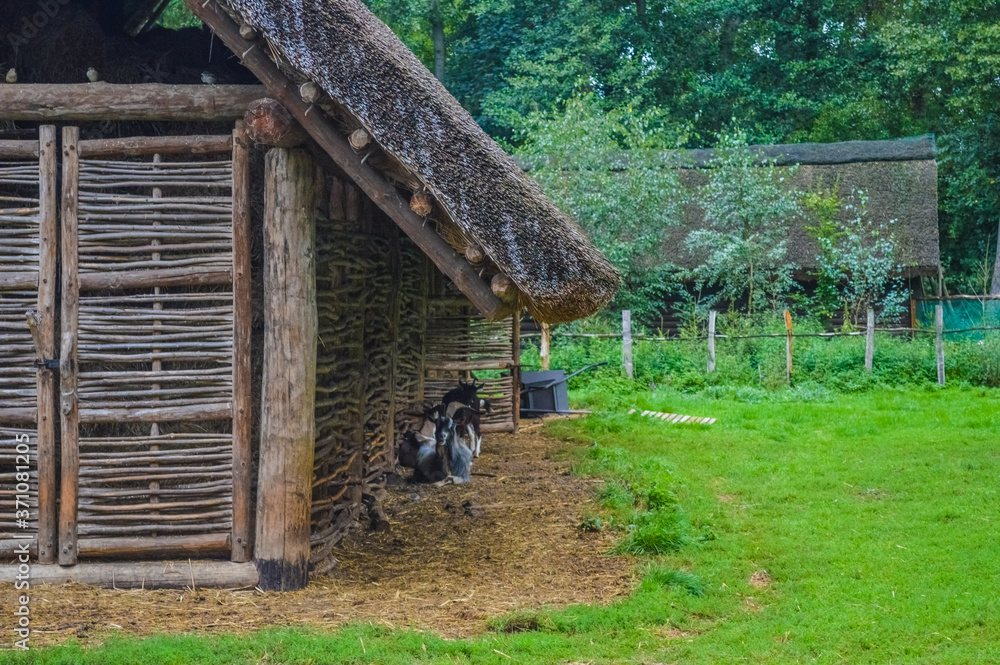 Obraz premium Ancient wooden house in Biskupin village, Poland