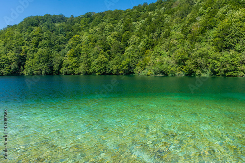 Landscape of the forest and the colorful lake in Plitvice National Park, Croatia
