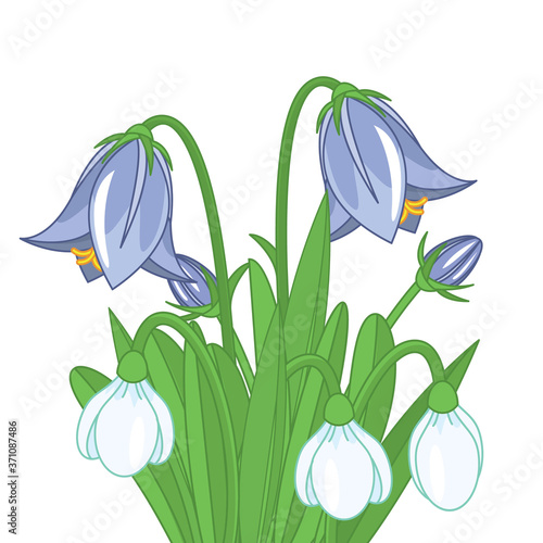Vector spring flowers