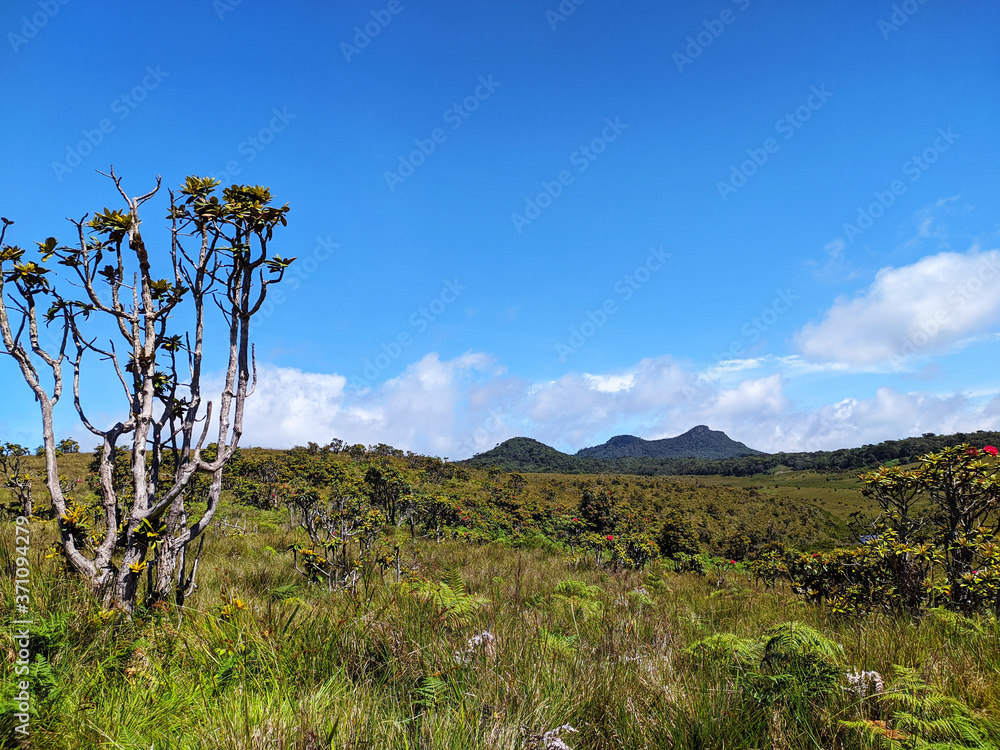 landscape with mountain and sky