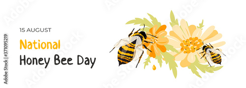 National Honey Bee Day. Western honey bees pollinating a daisy flower and extracts nectar. Poster, banner or greeting card to recognize bee's contribution to humans' everyday lives. Isolated on white.