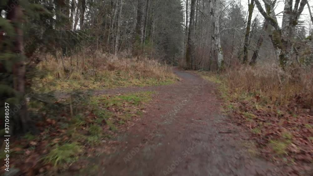 Aerial low flying move along path outside forest.