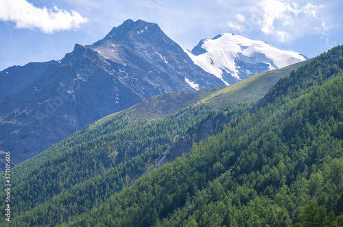 landscape beautiful snow top of Mount Altai with meadow grass and flowers 