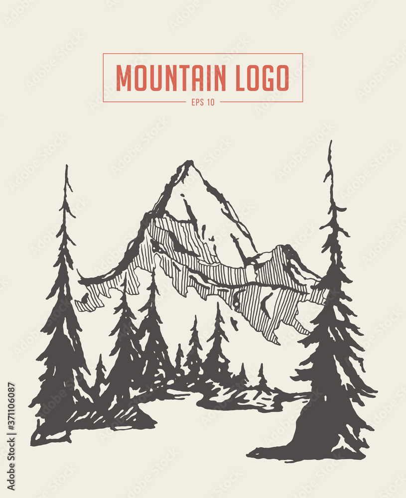Fototapeta premium Two mountains spruce forest river vector sketch