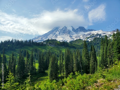 The majestic Mount Rainier on a summer day 