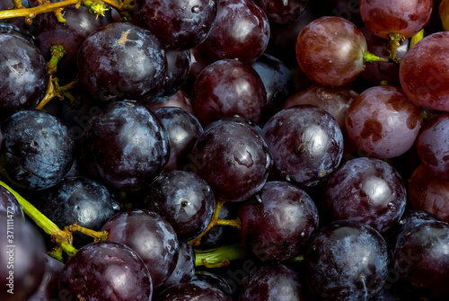 Close-up of red seedless grapes with water droplets.