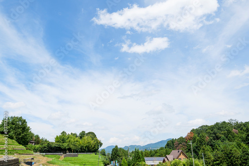 Midsummer, clear blue skies in the Japanese countryside