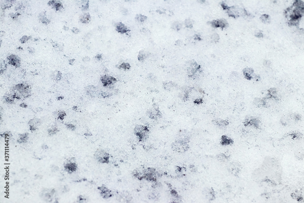 Obraz premium Wet snow texture. Snow in winter during the thaw