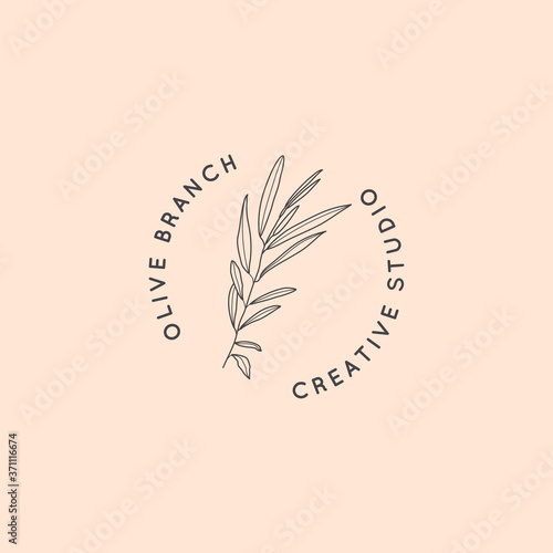 Olive branch with leaves logo design template in simple minimal linear style. Abstract Feminine Vector Signs