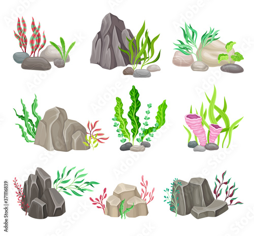 Angulated and Smooth Sea Stones with Seaweeds and Algae Vector Composition Set