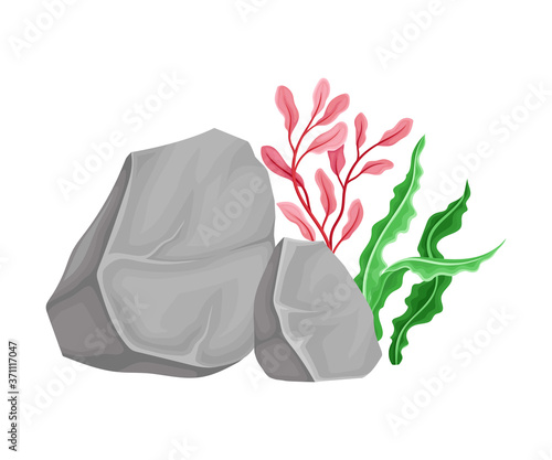Angulated Sea Stone or Subsurface Rock with Seaweeds and Algae Vector Composition