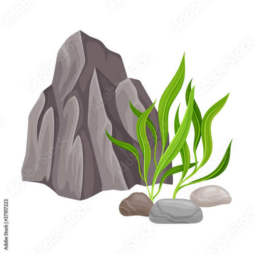 Angulated Sea Stone or Subsurface Rock with Seaweeds and Algae Vector Composition