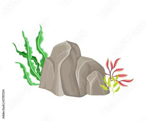Angulated Sea Stone or Subsurface Rock with Seaweeds and Algae Vector Composition