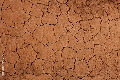 dry soil background