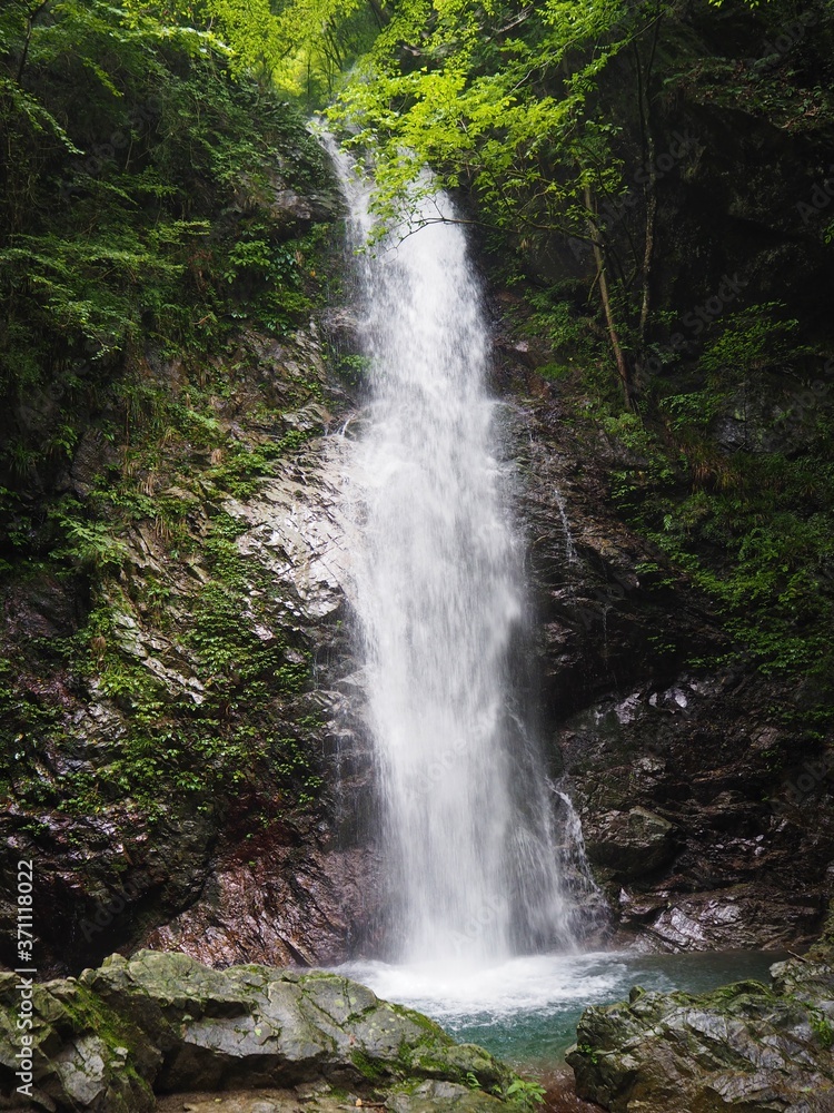 Obraz premium Hossawa Falls in tokyo, JAPAN
