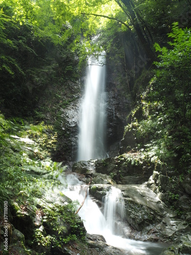 Hossawa Falls in tokyo, JAPAN photo