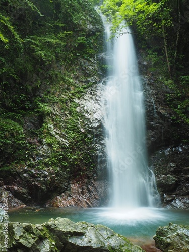 Fototapeta Naklejka Na Ścianę i Meble -  Hossawa Falls in tokyo, JAPAN