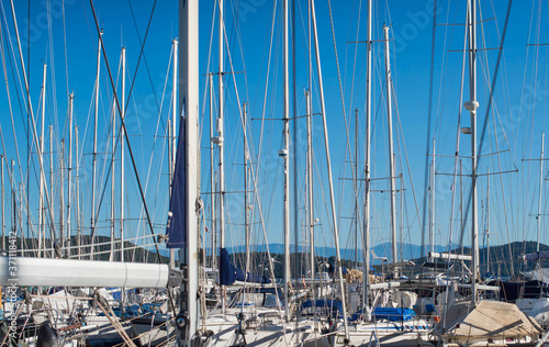 Many aluminum yacht masts on the shore photo