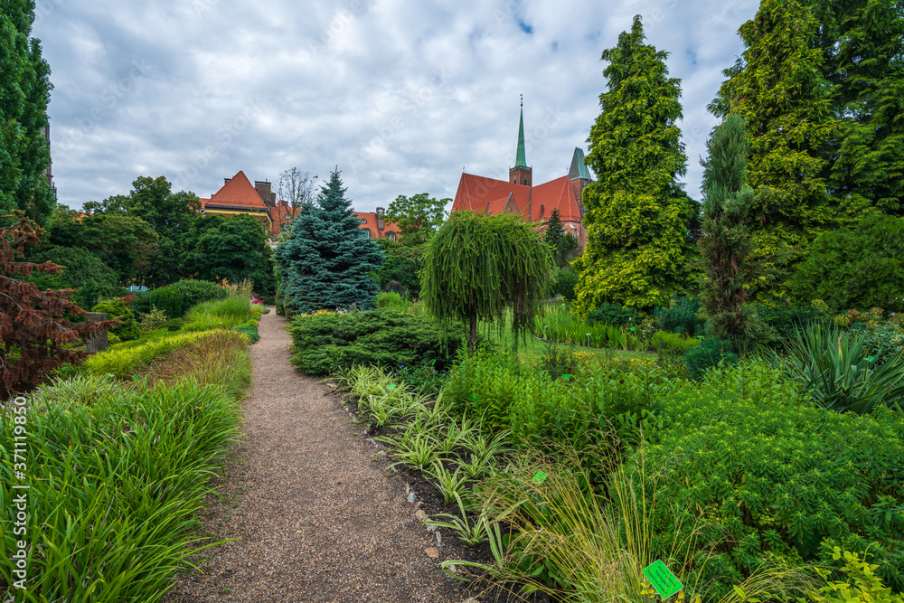 Wroclaw, Poland August 5, 2020; The Botanical Garden of the University of Wrocław.