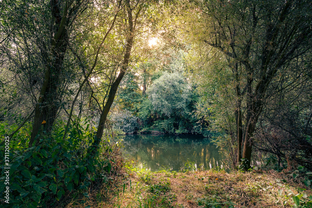 Landscape with riverside vegetation and riverbed of the Órbigo River, León, Spain. Landscape with riverside vegetation and riverbed of the Órbigo River, León, Spain.