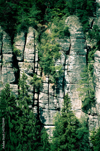 Fototapeta Naklejka Na Ścianę i Meble -  Skały porośnięte roślinami