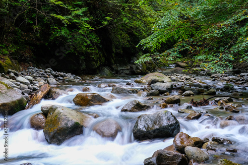 山梨県の西沢渓谷