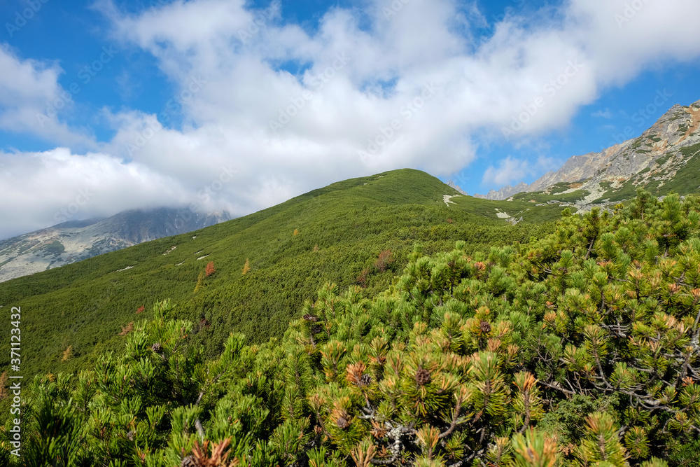Naklejka premium Great Cold Valley in High Tatras, Slovakia. The Great Cold Valley is 7 km long valley, very attractive for tourists
